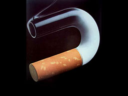 Her 10 ölümden birinin ‘nedeni sigara’