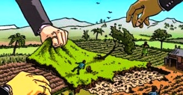 Küresel tarım savaşında akıl almaz toprak gaspı!