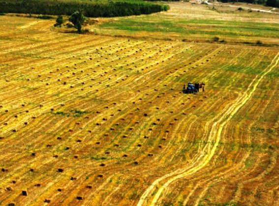 Türkiye'de tarım