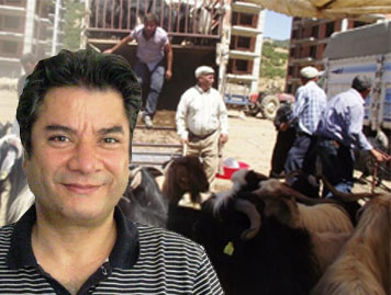 Yusuf Yavuz, hayvan pazarı