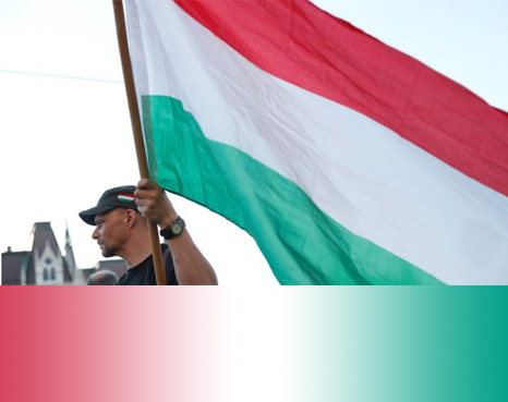 Macar hükümeti bir ay boyunca her gün Helsinki İnsan Hakları Derneği’nden özür dileyecek