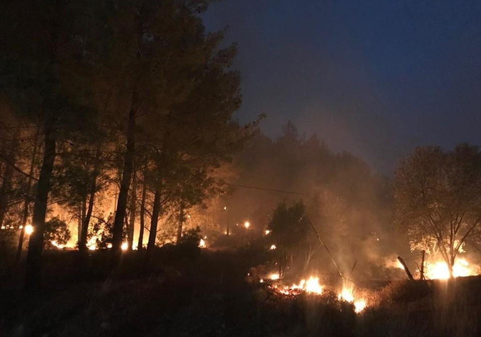 Dünyada orman yangınları artıyor mu?