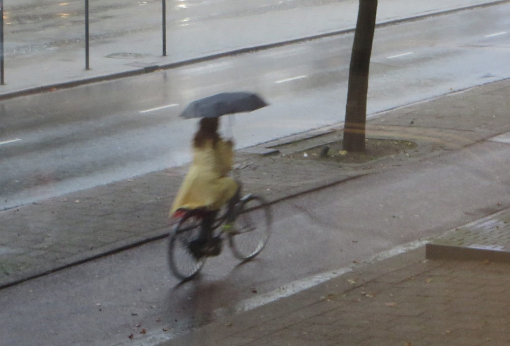  HOLLANDA… Rotterdam’da Bisiklet ve Şemsiye  