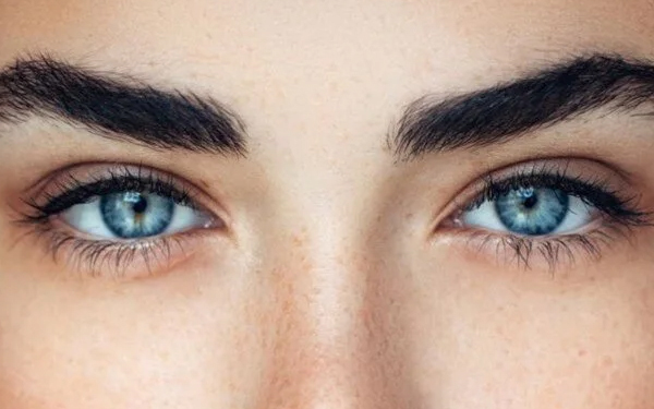 Mavi gözlü insanlar aynı soydan geliyor